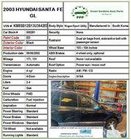 2003 HYUNDAI SANTA FE Fuel Gas Pump Assembly 2.4L Code 08300-0250 G