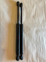 2020 TESLA MODEL 3 Left and Right Side Hatch Lift Shock Strut Support RH LH T